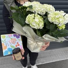 Plant, Candle &amp; Card